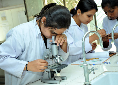 BSc-MSc